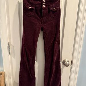 Anthropologie Burgundy Pants high rise bootcut